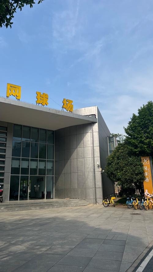 未来引援与